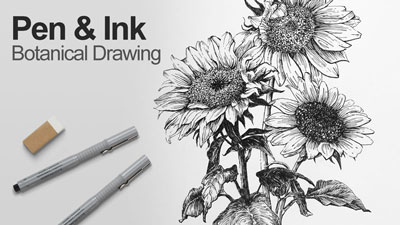 笔墨课系列植物绘画