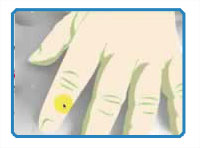 免费的数字艺术课程——钢笔工具向量